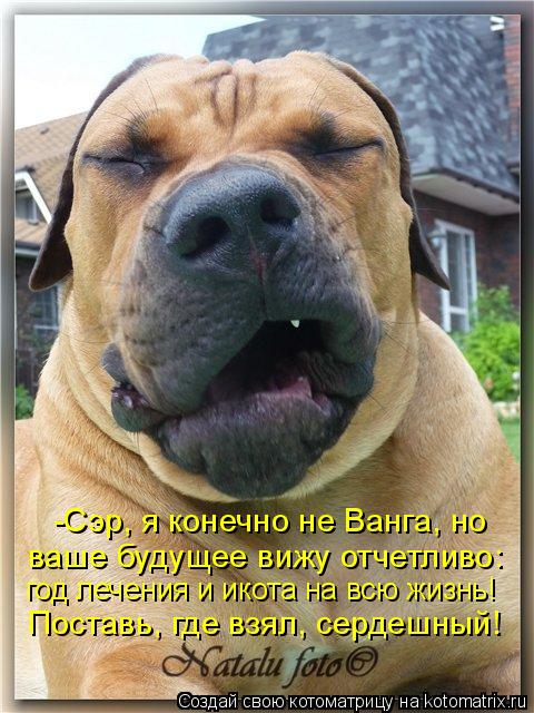 -Сэр, я конечно не Ванга, но ваше будущее вижу отчетливо: год лечения и икота на всю жизнь! Поставь, ... Котоматрица: -Сэр, я конечно не Ванга, но ваше будущее вижу отчетливо: год лечения и икота на всю жизнь! Поставь, где взял, сердешный!
