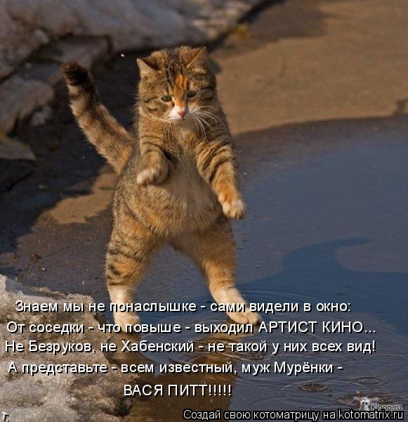 Котоматрица: Знаем мы не понаслышке - сами видели в окно: От соседки - что повыше - выходил АРТИСТ КИНО... Не Безруков, не Хабенский - не такой у них всех вид! 