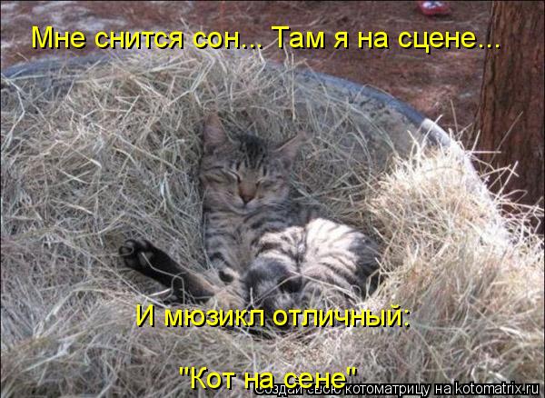 Мне снится сон... Там я на сцене... И мюзикл отличный: "Кот на сене"... Котоматрица: Мне снится сон... Там я на сцене... И мюзикл отличный: "Кот на сене"