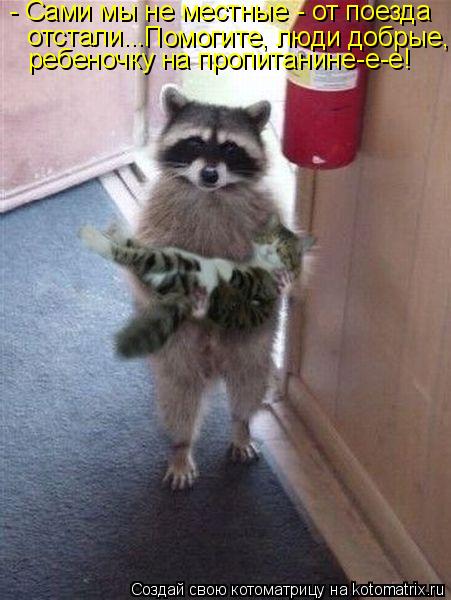 Котоматрица: - Сами мы не местные - от поезда  отстали... Помогите, люди добрые, ребеночку на пропитанине-е-е!