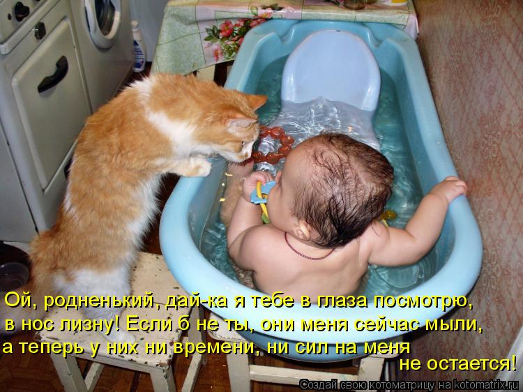 Ой, родненький, дай-ка я тебе в глаза посмотрю, в нос лизну! Если б не ты, они меня сейчас мыли, а те... Котоматрица: Ой, родненький, дай-ка я тебе в глаза посмотрю, в нос лизну! Если б не ты, они меня сейчас мыли, а теперь у них ни времени, ни сил на меня не оста