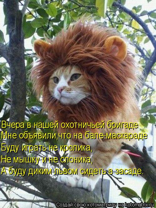 Вчера в нашей охотничьей бригаде Мне объявили,что на бале-маскараде Буду играть не кролика, Не мышку ... Котоматрица: Вчера в нашей охотничьей бригаде Мне объявили,что на бале-маскараде Буду играть не кролика, Не мышку и не слоника, А буду диким львом сидеть