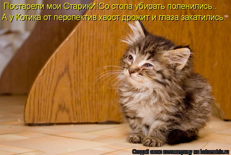 Постарели мои СтарикИ!Со стола убирать поленились.. А у Котика от перспектив хвост дрожит и глаза зак... Котоматрица: Постарели мои СтарикИ!Со стола убирать поленились.. А у Котика от перспектив хвост дрожит и глаза закатились.