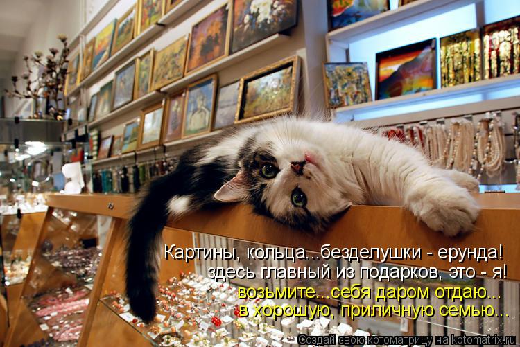 Картины, кольца...безделушки - ерунда! здесь главный из подарков, это - я! возьмите...себя даром отда... Котоматрица: Картины, кольца...безделушки - ерунда! здесь главный из подарков, это - я! возьмите...себя даром отдаю... в хорошую, приличную семью...