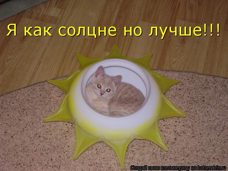 Я как солцне но лучше!!!... Котоматрица: Я как солцне но лучше!!!