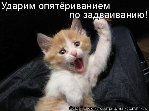 Ударим опятёриванием по задваиванию!... Котоматрица: Ударим опятёриванием по задваиванию!