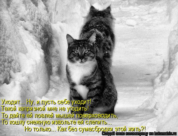 Уходит... Ну, и пусть себе уходит! Такой капризной мне не угодить! То дайте ей ловлей мышей поверхово... Котоматрица: Уходит... Ну, и пусть себе уходит! Такой капризной мне не угодить! То дайте ей ловлей мышей поверховодить, То кошку снежную извольте ей слепи