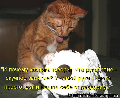 "И почему хозяйка говорит, что рукоделие - скучное занятие? У самой руки - крюки просто, вот и нашл... Котоматрица: "И почему хозяйка говорит, что рукоделие - скучное занятие? У самой руки - крюки просто, вот и нашла себе оправдание..."