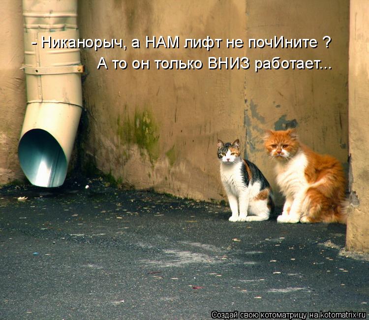 - Никанорыч, а НАМ лифт не почИните ? А то он только ВНИЗ работает...... Котоматрица: - Никанорыч, а НАМ лифт не почИните ? А то он только ВНИЗ работает...
