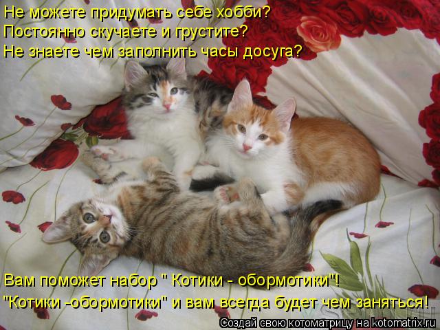 Не можете придумать себе хобби? Постоянно скучаете и грустите? Не знаете чем заполнить часы досуга? В... Котоматрица: Не можете придумать себе хобби? Постоянно скучаете и грустите? Не знаете чем заполнить часы досуга? Вам поможет набор " Котики - обормотики"!