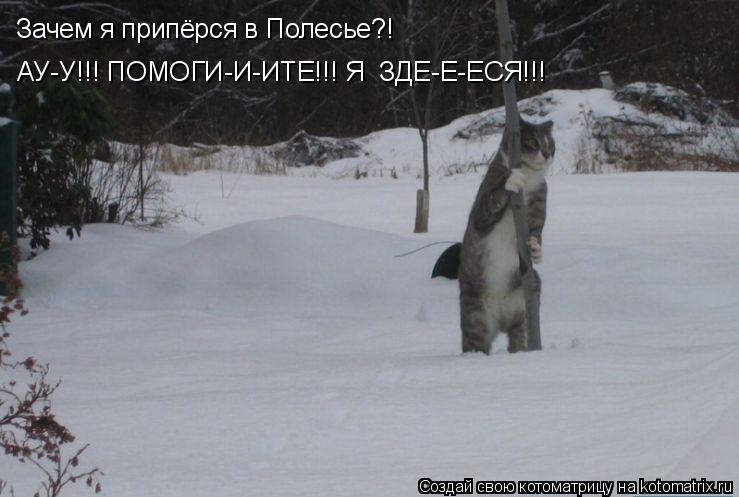Зачем я припёрся в Полесье?! АУ-У!!! ПОМОГИ-И-ИТЕ!!! Я ЗДЕ-Е-ЕСЯ!!!... Котоматрица: Зачем я припёрся в Полесье?! АУ-У!!! ПОМОГИ-И-ИТЕ!!! Я ЗДЕ-Е-ЕСЯ!!!