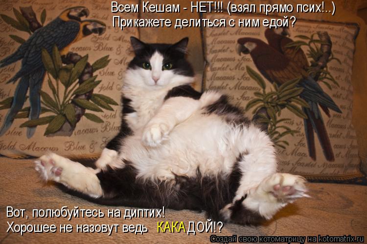 Всем Кешам - НЕТ!!! (взял прямо псих!..) Вот, полюбуйтесь на диптих! Прикажете делиться с ним едой? Х... Котоматрица: Всем Кешам - НЕТ!!! (взял прямо псих!..) Вот, полюбуйтесь на диптих! Прикажете делиться с ним едой? Хорошее не назовут ведь ДОЙ!? КАКА