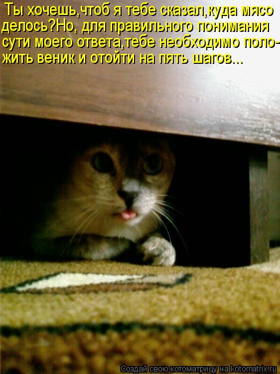 Ты хочешь,чтоб я тебе сказал,куда мясо делось?Но, для правильного понимания сути моего ответа,тебе не... Котоматрица: Ты хочешь,чтоб я тебе сказал,куда мясо делось?Но, для правильного понимания сути моего ответа,тебе необходимо поло- жить веник и отойти на п