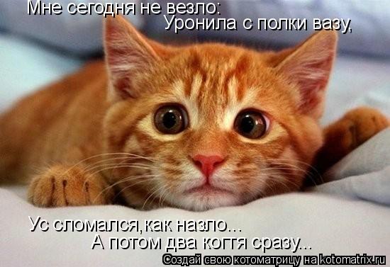 Котоматрица: Мне сегодня не везло: Уронила с полки вазу, Ус сломался,как назло... А потом два когтя сразу...