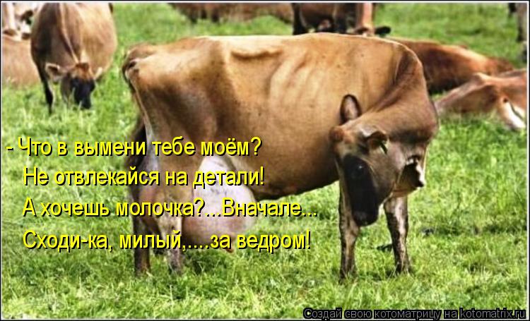 - Что в вымени тебе моём? Не отвлекайся на детали! А хочешь молочка?...Вначале... Сходи-ка, милый,...... Котоматрица: - Что в вымени тебе моём? Не отвлекайся на детали! А хочешь молочка?...Вначале... Сходи-ка, милый,....за ведром!