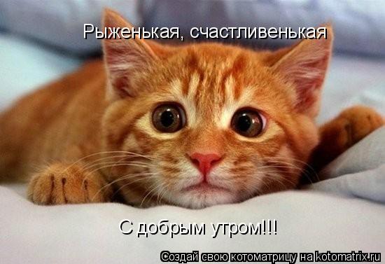 Рыженькая, счастливенькая С добрым утром!!!... Котоматрица: Рыженькая, счастливенькая С добрым утром!!!