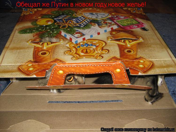 Обещал же Путин в новом году,новое жельё!... Котоматрица: Обещал же Путин в новом году,новое жельё!