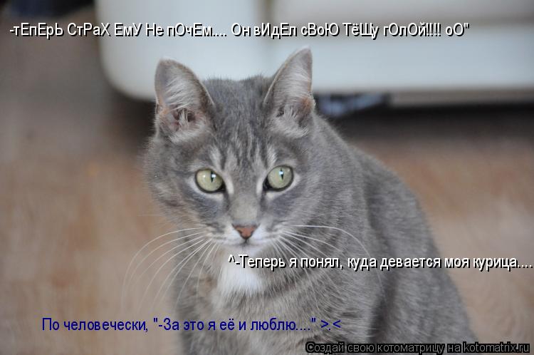 -тЕпЕрЬ СтРаХ ЕмУ Не пОчЕм.... Он вИдЕл сВоЮ ТёЩу гОлОй!!!! оО" ^-Теперь я понял, куда девается моя к... Котоматрица: -тЕпЕрЬ СтРаХ ЕмУ Не пОчЕм.... Он вИдЕл сВоЮ ТёЩу гОлОй!!!! оО" ^-Теперь я понял, куда девается моя курица.... По человечески, "-За это я её и люблю.