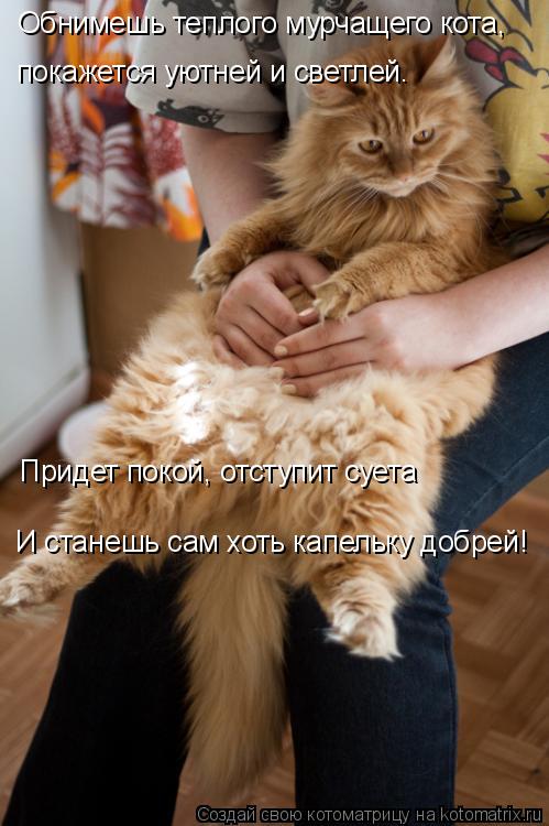 Обнимешь теплого мурчащего кота, Придет покой, отступит суета И станешь сам хоть капельку добрей! пок... Котоматрица: Обнимешь теплого мурчащего кота, Придет покой, отступит суета И станешь сам хоть капельку добрей! покажется уютней и светлей.