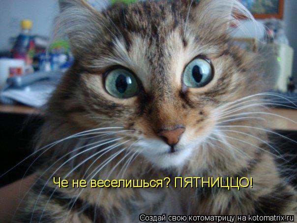 Котоматрица: Че не веселишься? ПЯТНИЦЦО!