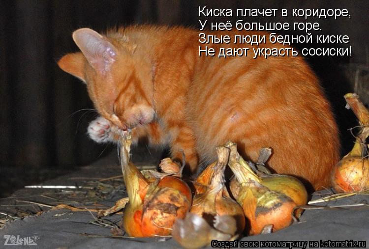 Киска плачет в коридоре, У неё большое горе. Злые люди бедной киске Не дают украсть сосиски!... Котоматрица: Киска плачет в коридоре, У неё большое горе. Злые люди бедной киске Не дают украсть сосиски!