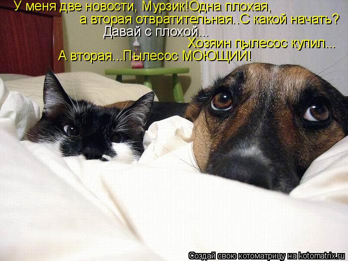 У меня две новости, Мурзик!Одна плохая, а вторая отвратительная..С какой начать? Давай с плохой... Хо... Котоматрица: У меня две новости, Мурзик!Одна плохая, а вторая отвратительная..С какой начать? Давай с плохой... Хозяин пылесос купил... А вторая...Пылесос МО