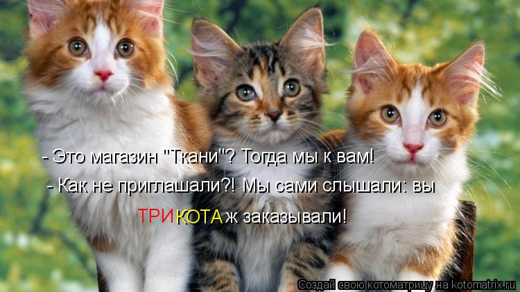- Это магазин "Ткани"? Тогда мы к вам! КОТА ж заказывали! - Как не приглашали?! Мы сами слышали: вы Т... Котоматрица: - Это магазин "Ткани"? Тогда мы к вам! КОТА ж заказывали! - Как не приглашали?! Мы сами слышали: вы ТРИ