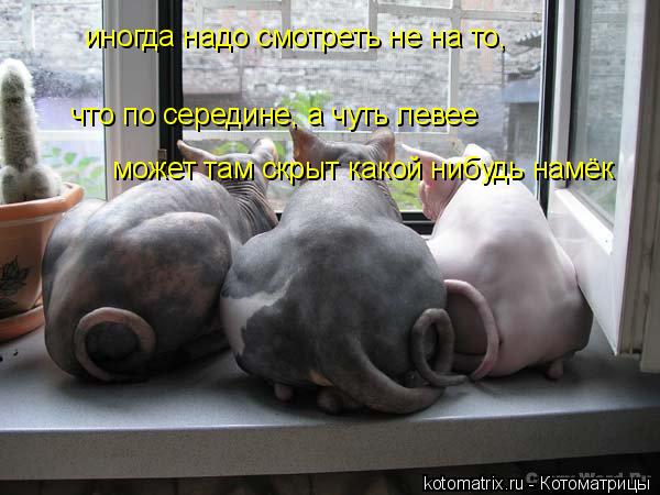 иногда надо смотреть не на то, что по середине, а чуть левее может там скрыт какой нибудь намёк... Котоматрица: иногда надо смотреть не на то, что по середине, а чуть левее может там скрыт какой нибудь намёк