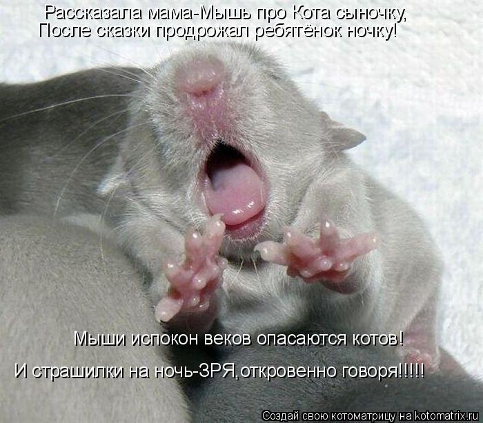 Котоматрица: Рассказала мама-Мышь про Кота сыночку, После сказки продрожал ребятёнок ночку! Мыши испокон веков опасаются котов! И страшилки на ночь-ЗРЯ,
