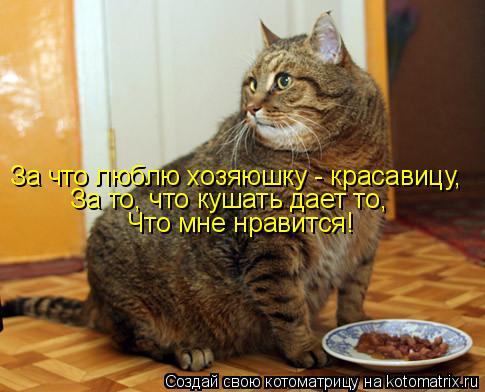 За что люблю хозяюшку - красавицу, За то, что кушать дает то, Что мне нравится!... Котоматрица: За что люблю хозяюшку - красавицу, За то, что кушать дает то, Что мне нравится!