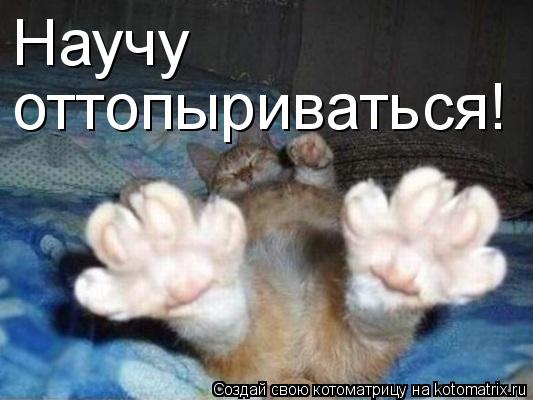 Научу оттопыриваться!... Котоматрица: Научу оттопыриваться!