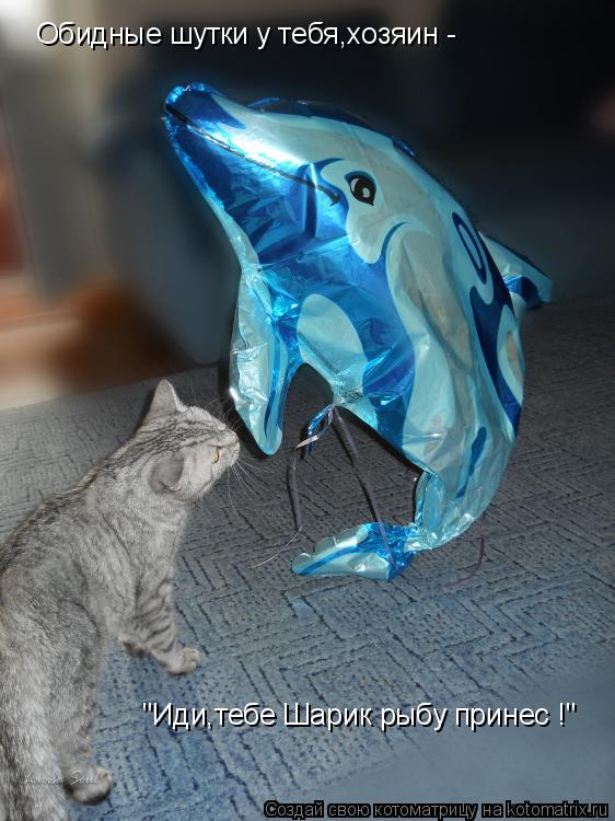 Котоматрица: Обидные шутки у тебя,хозяин -  "Иди,тебе Шарик рыбу принес !"