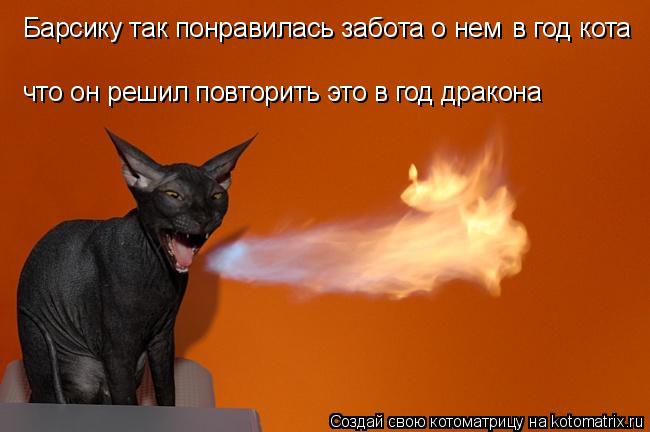 Барсику так понравилась забота о нем в год кота что он решил повторить это в год дракона... Котоматрица: Барсику так понравилась забота о нем в год кота что он решил повторить это в год дракона