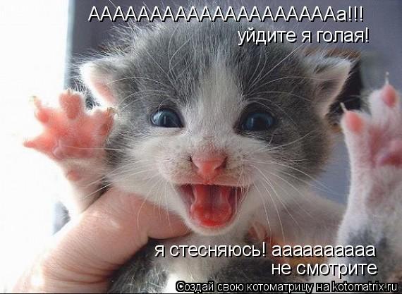 ААААААААААААААААААААа!!! уйдите я голая! я стесняюсь! аааааааааа не смотрите... Котоматрица: ААААААААААААААААААААа!!! уйдите я голая! я стесняюсь! аааааааааа не смотрите