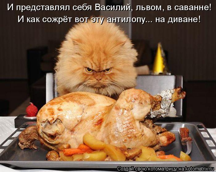 И представлял себя Василий, львом, в саванне! И как сожрёт вот эту антилопу... на диване!... Котоматрица: И представлял себя Василий, львом, в саванне! И как сожрёт вот эту антилопу... на диване!