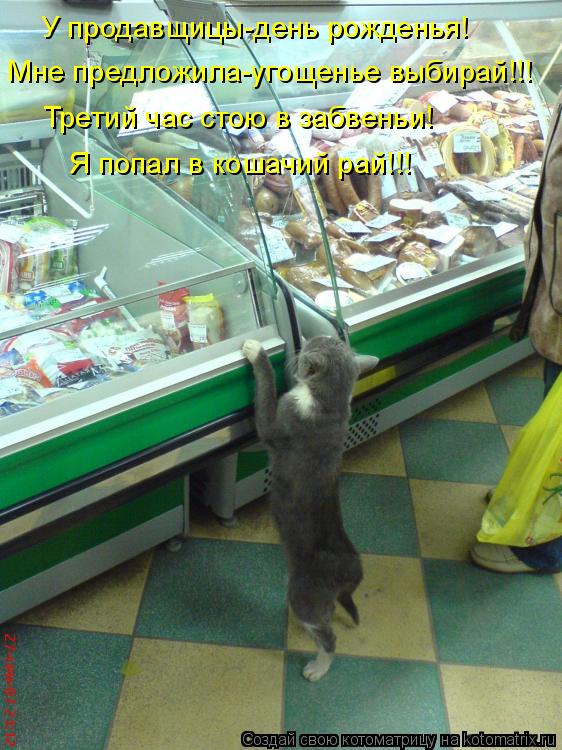 У продавщицы-день рожденья! Мне предложила-угощенье выбирай!!! Третий час стою в забвеньи! Я попал в ... Котоматрица: У продавщицы-день рожденья! Мне предложила-угощенье выбирай!!! Третий час стою в забвеньи! Я попал в кошачий рай!!!