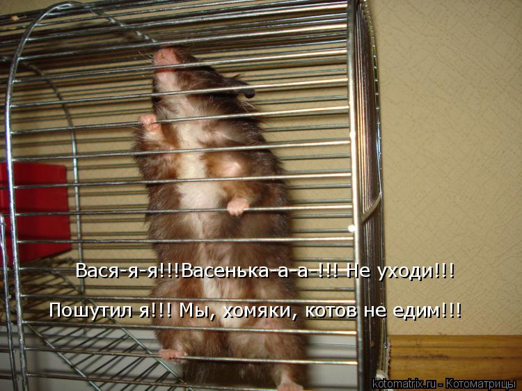 --!!!---!!!  !!!  !!! , ,   !!!
