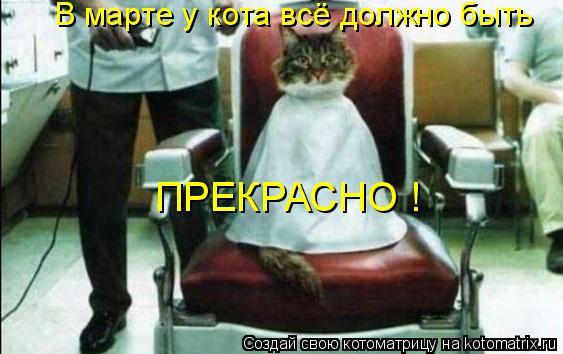 Котоматрица: В марте у кота всё должно быть ПРЕКРАСНО !