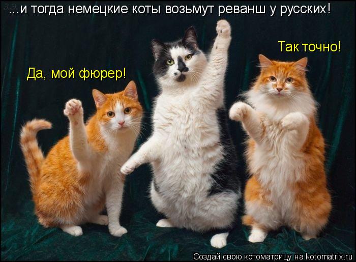 Котоматрица: ...и тогда немецкие коты возьмут реванш у русских! Да, мой фюрер! Так точно!