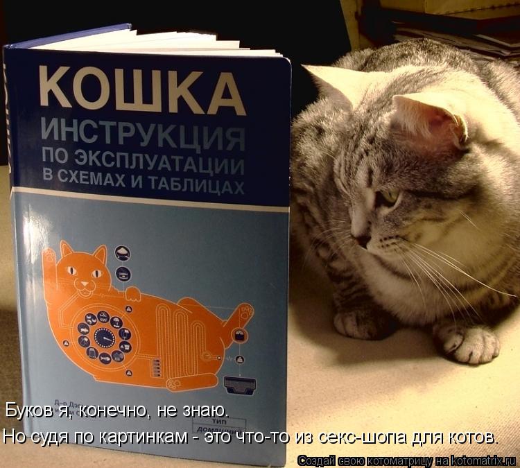 Котоматрица: Буков я, конечно, не знаю. Но судя по картинкам - это что-то из секс-шопа для котов.