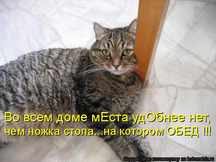 чем ножка стола...на котором ОБЕД !!! Во всем доме мЕста удОбнее нет,... Котоматрица: чем ножка стола...на котором ОБЕД !!! Во всем доме мЕста удОбнее нет,