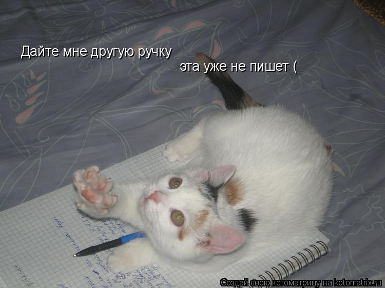 Дайте мне другую ручку эта уже не пишет (... Котоматрица: Дайте мне другую ручку эта уже не пишет (