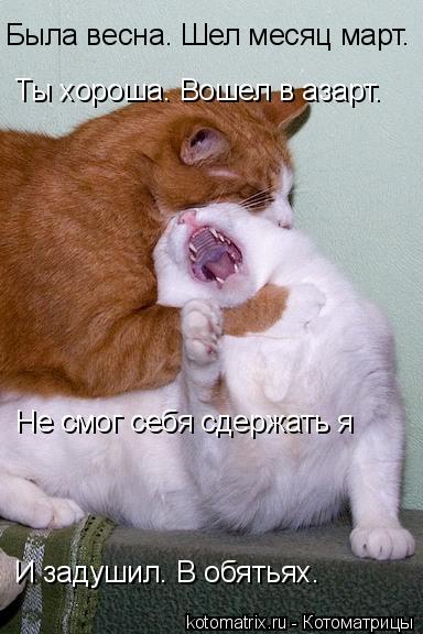 Котоматрица: Была весна. Шел месяц март. Ты хороша. Вошел в азарт. Не смог себя сдержать я И задушил. В обятьях.