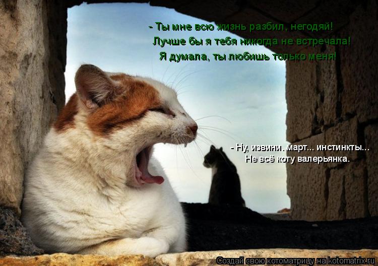 Котоматрица: - Ты мне всю жизнь разбил, негодяй! Лучше бы я тебя никогда не встречала! - Ну, извини. март... инстинкты... Не всё коту валерьянка. Я думала, ты лю