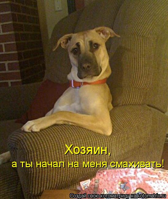 Котоматрица: Хозяин,  а ты начал на меня смахивать!