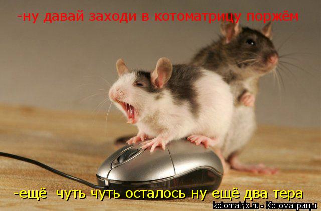 -ну давай заходи в котоматрицу поржём -ещё чуть чуть осталось ну ещё два тера... Котоматрица: -ну давай заходи в котоматрицу поржём -ещё чуть чуть осталось ну ещё два тера