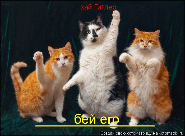 хай Гитлер бей его ________________... Котоматрица: хай Гитлер бей его ________________