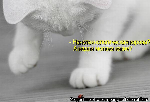 - Нанотехнологическая корова? А надои молока какие?... Котоматрица: - Нанотехнологическая корова? А надои молока какие?