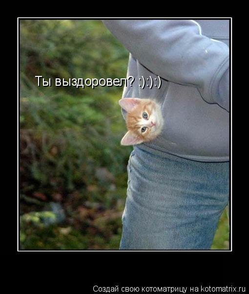 Ты выздоровел? :):):)... Котоматрица: Ты выздоровел? :):):)