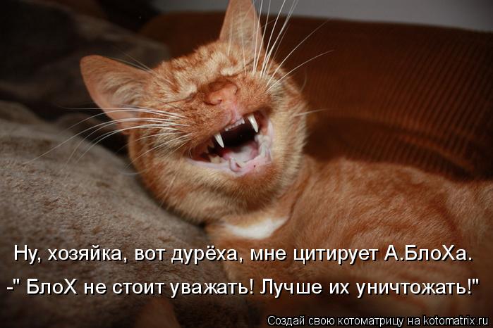 Котоматрица: -" БлоХ не стоит уважать! Лучше их уничтожать!" Ну, хозяйка, вот дурёха, мне цитирует А.БлоХа.